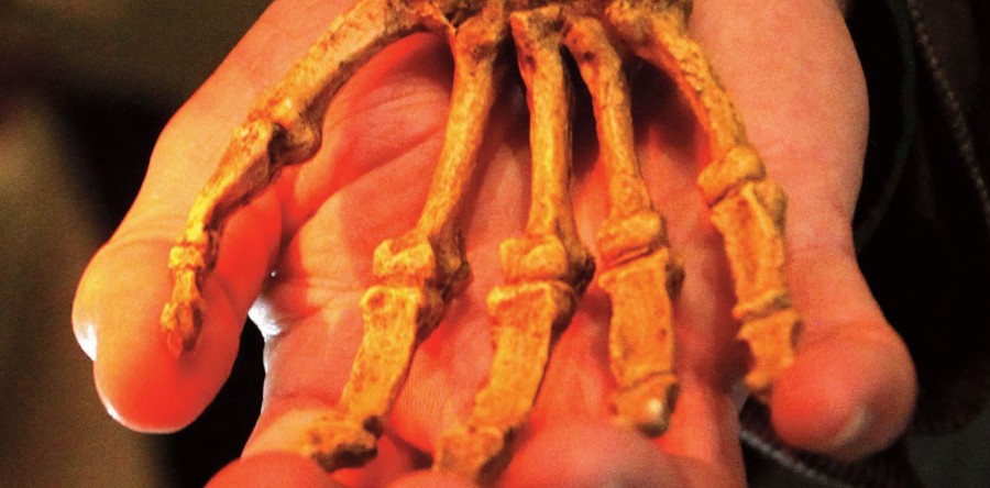 Looking for the constants in an ever-changing environment