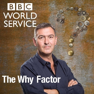 The why factor